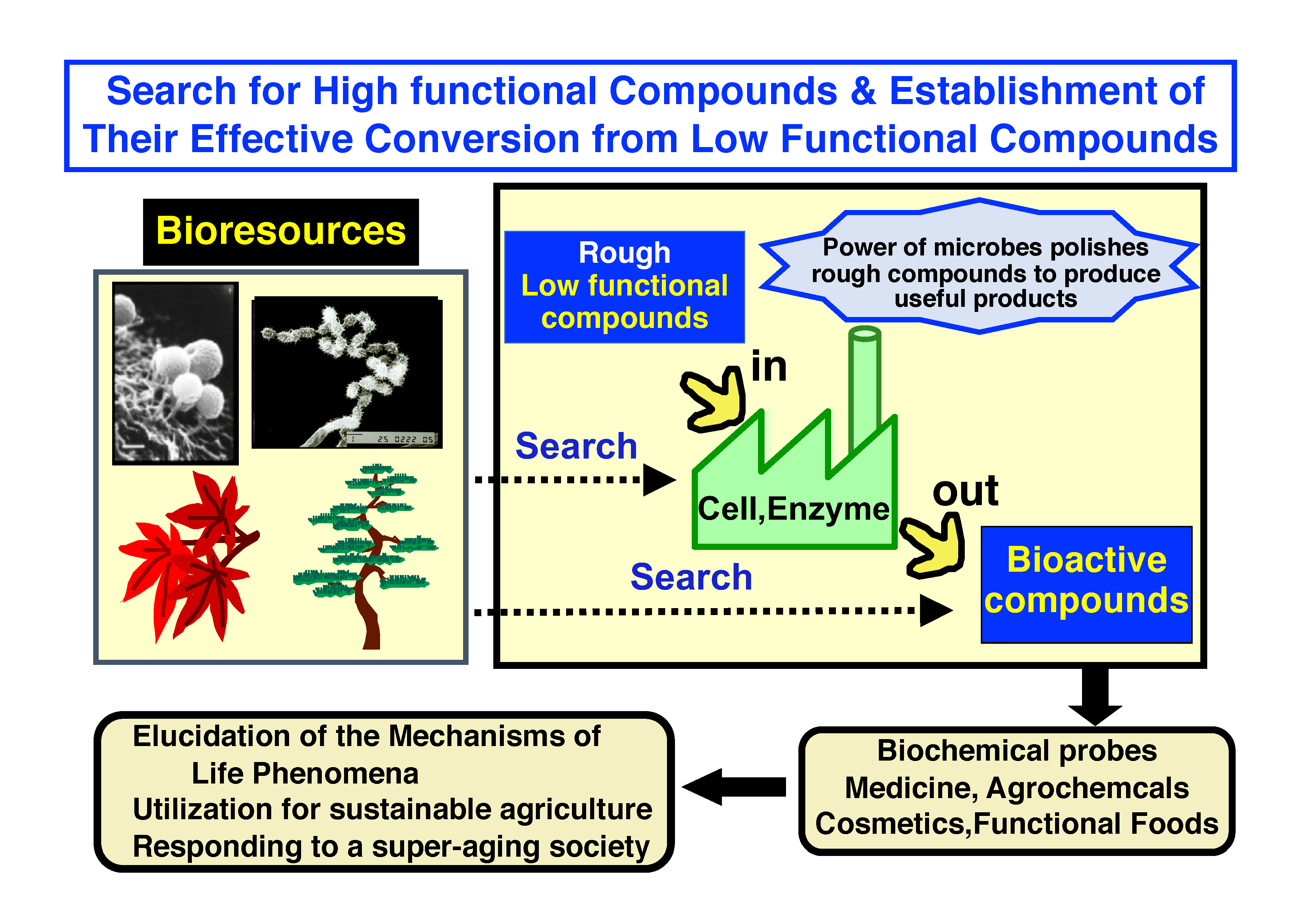 Chemistry Of Bioactive Compounds - Graduate School Of Environmental ...